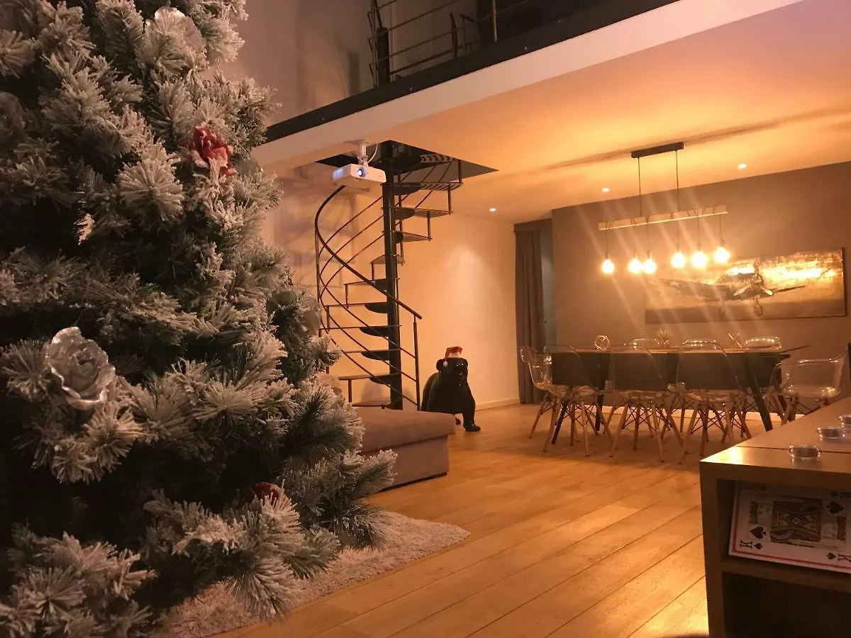 Luxury Loft Duplex Penthouse Of 190M2 & Free Parking ! Apartment Brussels 0*,